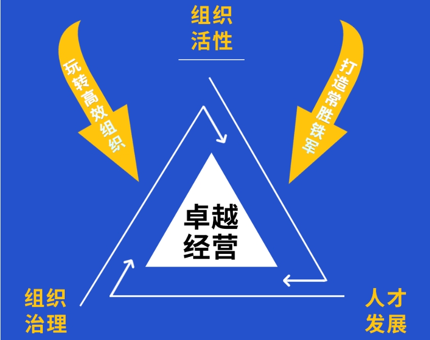 企业战略管理公开课：2025组织破局之道——“玩转”高效组织(图2)