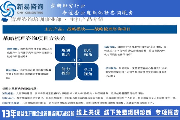 企业战略规划梳理咨询项目概述——新易咨询(图1)