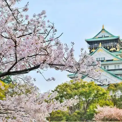标杆游学3.png 标杆游学3.png
