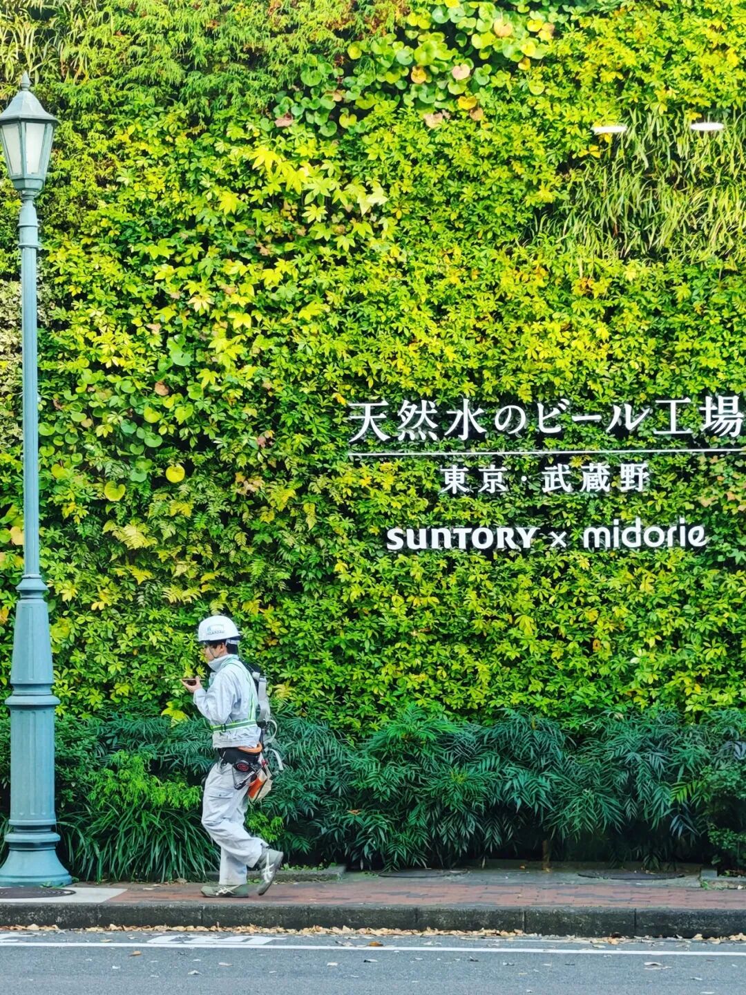 日本战略经营溯源:迪士尼与三得利的标杆游学之旅(图9) 日本战略经营溯源:迪士尼与三得利的标杆游学之旅(图9)