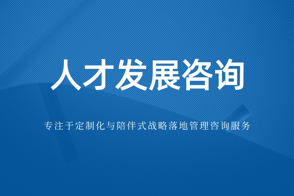 人才发展咨询 人才发展咨询
